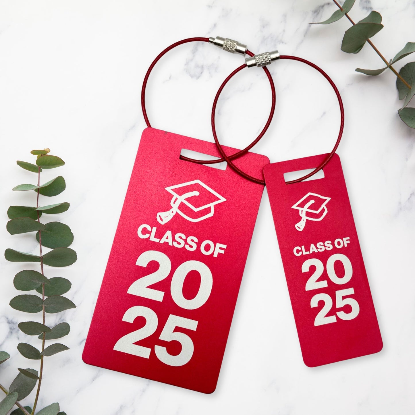 Class of 2026 Matching Luggage Tag Set – Large & Small A