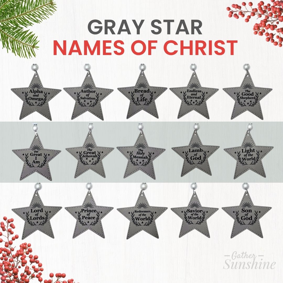 Single Star Ornament - Gray or Light Brown